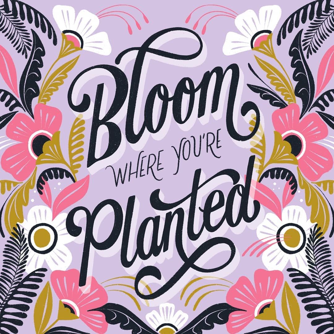 MichellePLive's tweet image. Happy #WellnessWednesday!

🎨: IG cmbringle

#MyJane #OwnYourWellness