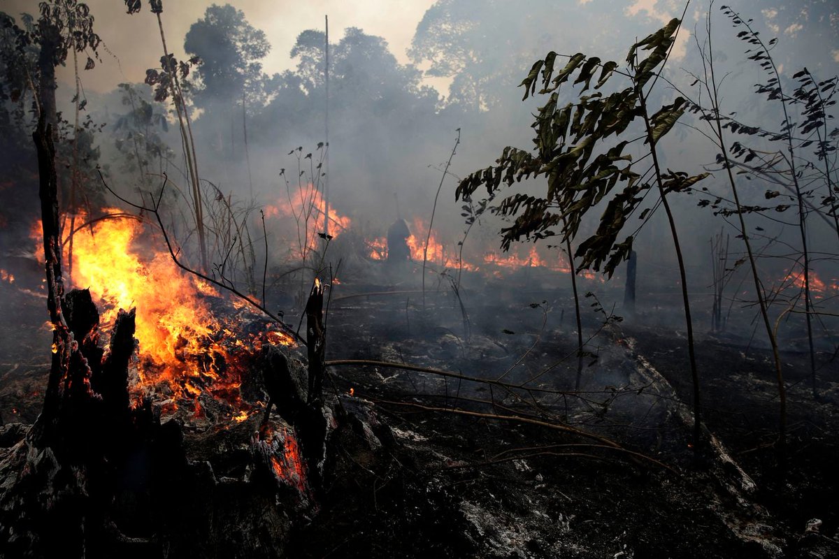 life_from_a_bed's tweet photo. I rarely cry about my own situation (just concentrate on day to day life) But I cry recently about our planet in terms of environmental devastation☹️What do we have left if we destroy our home? #thereisnoplanetB😢#AmazonFires #action4amazonas #SaveOurPlanet https://t.co/hgt3oMVXRG