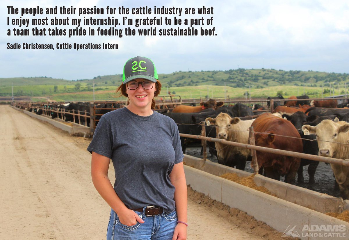 AdamsCattle's tweet photo. Meet one of our #ADAMSInterns...Sadie Christensen from @NCTACurtis! With her UNL Feedyard Management Internship, she has had the opportunity to work in Cattle Health, Processing, and Feeding. Take a look at what she enjoys most about her #internship. https://t.co/8q2mbTxTNl