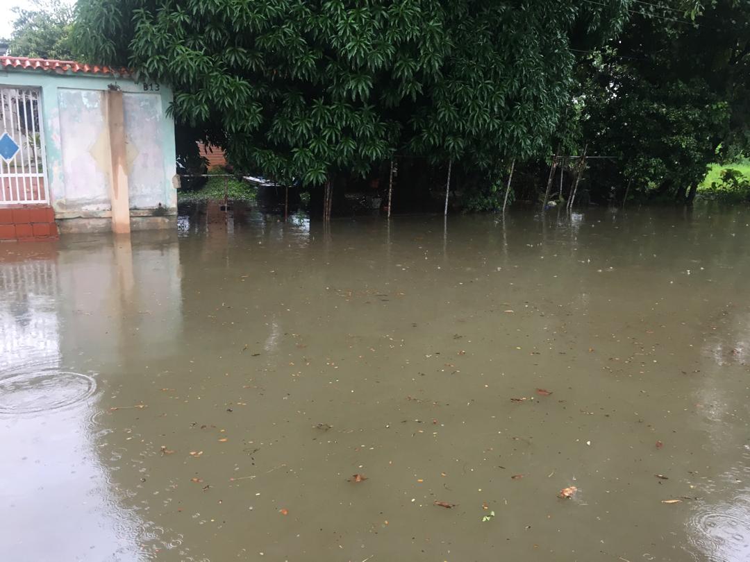yajaguay's tweet photo. @rafaellacava10 @alc_naguanagua @AlcaldGustavo10 S. O. S Capremco frente a la escuela José Félix Sosa nuestras casas en peligro total de inundación.. Por favor AYÚDENNOS https://t.co/ZkotlDeGcU