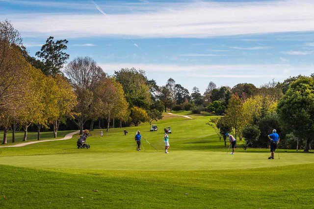 WithHeartZA's tweet photo. George Golf Club - George - 4 ball, "Golf Carts included" Starting bid: R1,000.00- Est Value R2180 - with @WithHeartZA

Click on the link below for the website to read more. ⤵️😃

#GeorgeGolfClub #PinkTreesforPauline #charity 
https://t.co/MR9050pkNd https://t.co/soPgM1mSYi
