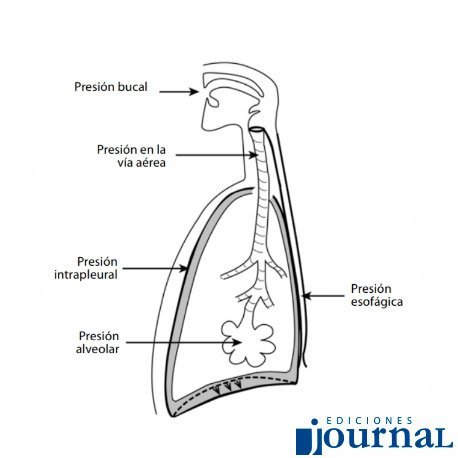 JournalARG's tweet photo. Incluye nuevos capítulos que abordan las estrategias para tratar la insuficiencia respiratoria: insuflación sostenida, optimización del volumen pulmonar y el uso de capnografía volumétrica, entre otras.
#EdicionesJournal https://t.co/OGbPgkJl2W
