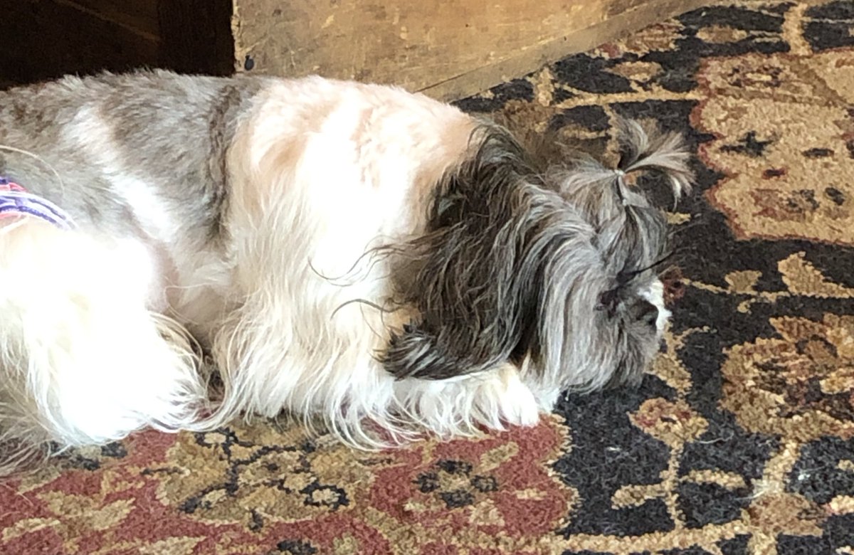 Isabella in deep thought about #BelieveAllWomen