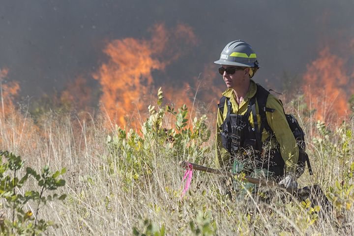 'Amanda Rau started working in wildland fire management as a member of a 20-person handcrew based in Springfield, #Oregon in 1999. ' Listen to the #podcast episode! anchor.fm/talkingforests… #wilandfirefighters #fire #wildfire #womeninfire
Photo Credit: The Nature Conservancy