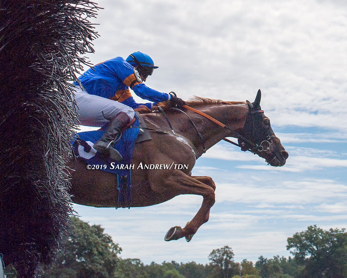 SarahKAndrew's tweet photo. Look at Teodoro go! Teodoro (Ire) (Teofilo {Ire}) and @RossGeraghty77 win today's Spa steeplechase opener by 33 3/4 lengths. https://t.co/4OIkpnNcYG