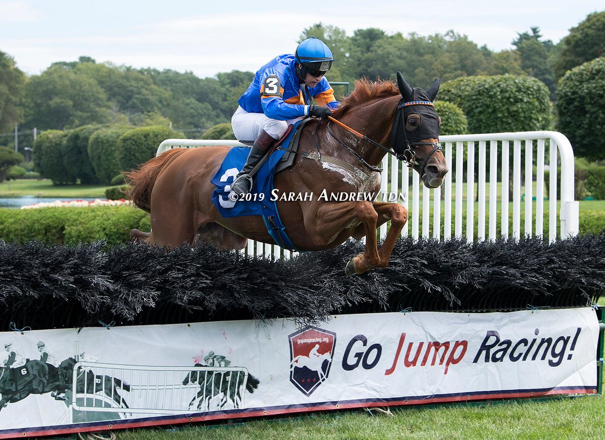SarahKAndrew's tweet photo. Look at Teodoro go! Teodoro (Ire) (Teofilo {Ire}) and @RossGeraghty77 win today's Spa steeplechase opener by 33 3/4 lengths. https://t.co/4OIkpnNcYG