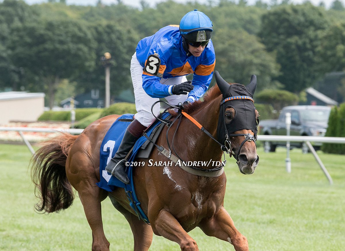 SarahKAndrew's tweet photo. Look at Teodoro go! Teodoro (Ire) (Teofilo {Ire}) and @RossGeraghty77 win today's Spa steeplechase opener by 33 3/4 lengths. https://t.co/4OIkpnNcYG