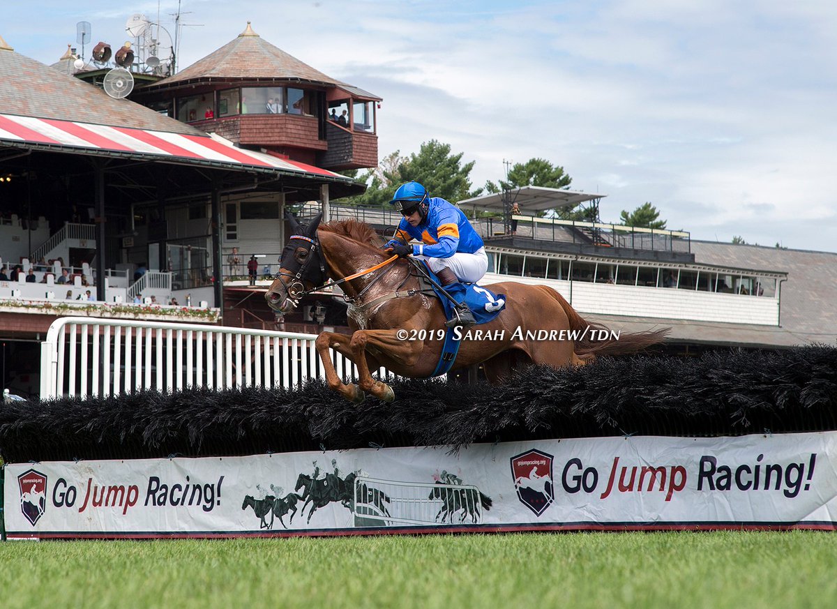SarahKAndrew's tweet photo. Look at Teodoro go! Teodoro (Ire) (Teofilo {Ire}) and @RossGeraghty77 win today's Spa steeplechase opener by 33 3/4 lengths. https://t.co/4OIkpnNcYG
