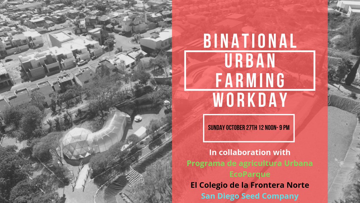 Urban Farming. Sustainability. Tacos. Beer. 
Enough said. See you Oct. 27th!
Sign up now- ticket are selling out! ⬇️⬇️⬇️ sandiegoseedcompany.com/shop/binationa…

#tacosandbeer #telefonica #mexico #tijuana #sandiego #urbanfarmer #urbanfarming #regenerativeagriculture #permaculture