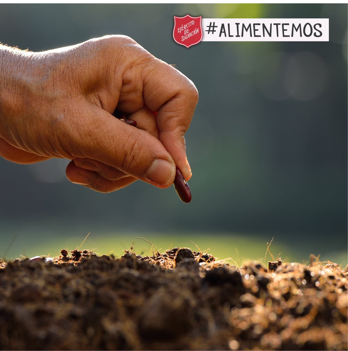 LaOllaRoja's tweet photo. ¡Cambiemos la A-patía por em-patía!
#Alimentemos #UnEjércitoDeAmor #PodemosHacerlo https://t.co/BQSTTZzjkN