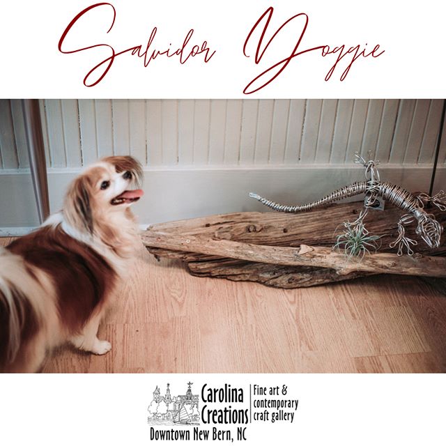 CarolinaCreatio's tweet photo. "To snif, or not to sniff?" That is Salvidor Doggie's question

Online: https://t.co/N1GawDxpJG 📸: bearcityimpact
#SalvidorDoggie #Spokespet #Dog #Mansbestfriend #CarolinaCreations #gallery #giftshop #newbern #nc https://t.co/To9i9Gp4zq