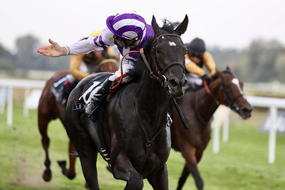 SebHahn's tweet photo. Hattrick for Michael Cadeddu today at Baden-Baden including the win in the the @coolmorestud Listed-Race with Wish you Well! 3j old filly by the great Soldier-Hollow. Well Done my friend! @bloodstocknews @BadenRacing @helmutvonfinck @GERMAN_RACING #agent #jockey #cadeddu https://t.co/tExsoSkKOM
