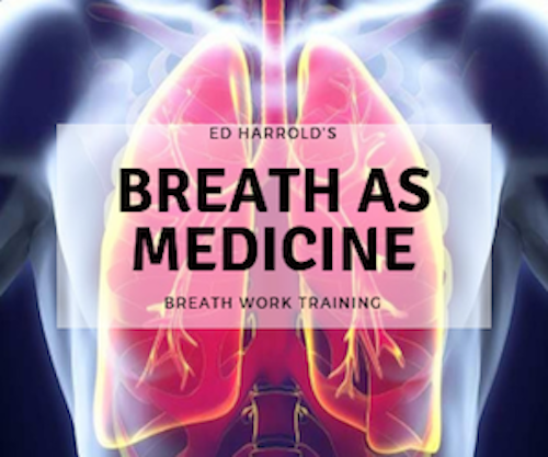 Ed_Harrold's tweet photo. Breathing influences biochemistry, biomechanics, physiology &amp; psychological states. Learn how to use this tool for improving health &amp; wellbeing. Early registration ends 9/1http://bit.ly/BAMWebOct

#breathworktraining #breathworkcertification #breathwork #employeewellness #health https://t.co/mVrNanrpDt