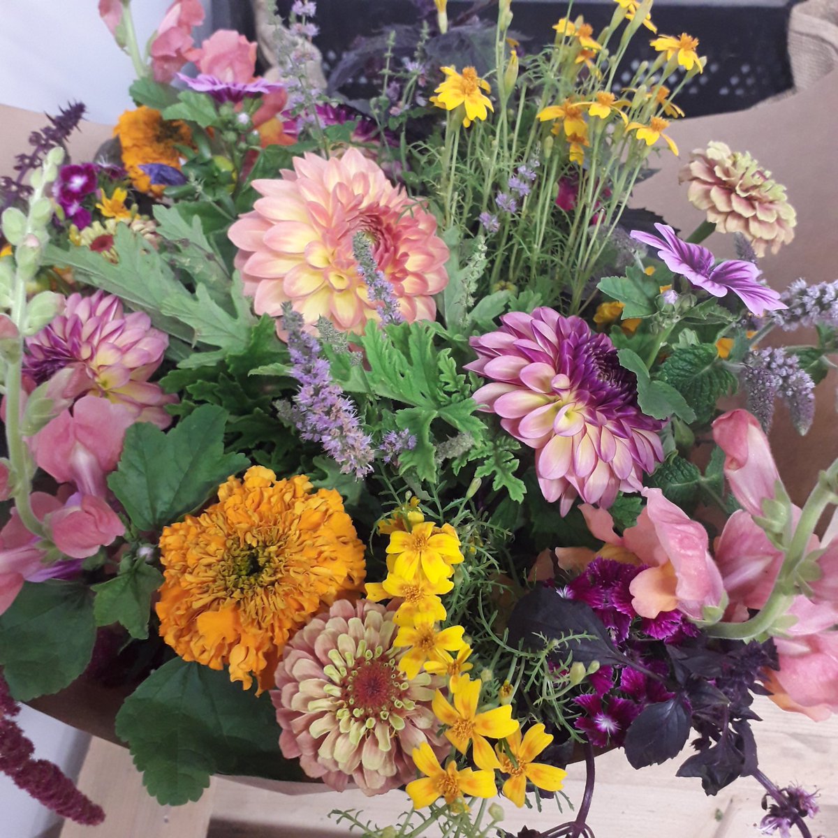 BallymakennyF's tweet photo. Beautiful @BumblebeeFarm_ blooms brightening up our farm for a special visit last week. AND they are all edible. Grown from seed by Mags.. https://t.co/Cesg89dIPN