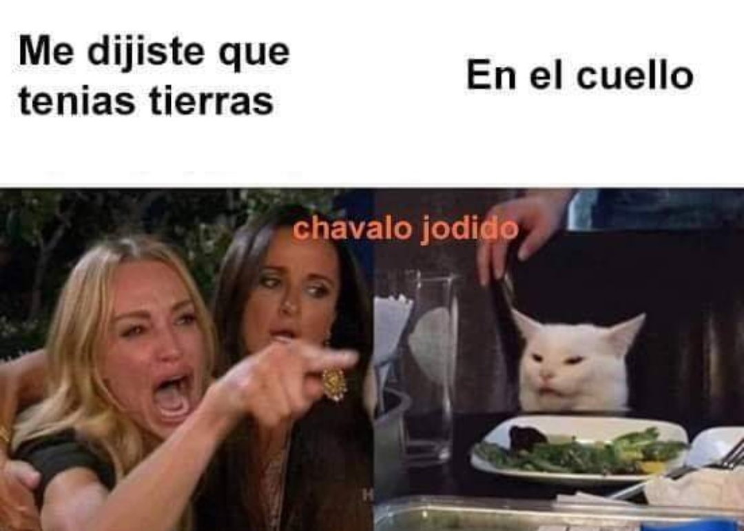 AdrianFloreshn tweet picture