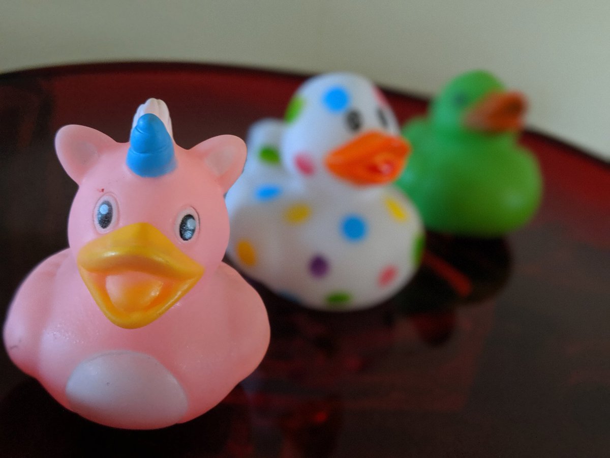 Tolerated13's tweet photo. Everytime I go to @PriceChopper I'm gonna play the claw game and get a new duck, 3 already this week! #DuckingCrazy https://t.co/apZVrVA1Sm