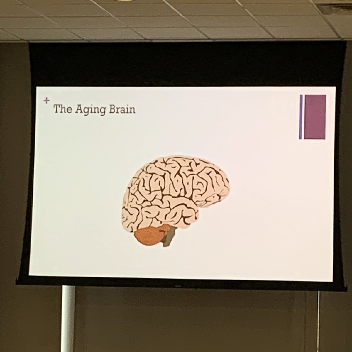 GRodriguezLCSW's tweet photo. Colleagues and experts like Rebecca O’Dwyer, MD (@bnidhuibhir) and @RushSWCH Erin Cecchi, LCSW draw big crowds to #RushGenerations wellness lectures and keep our members so engaged and empowered. Thank you!! #Aging #wellness https://t.co/nabz4luvds