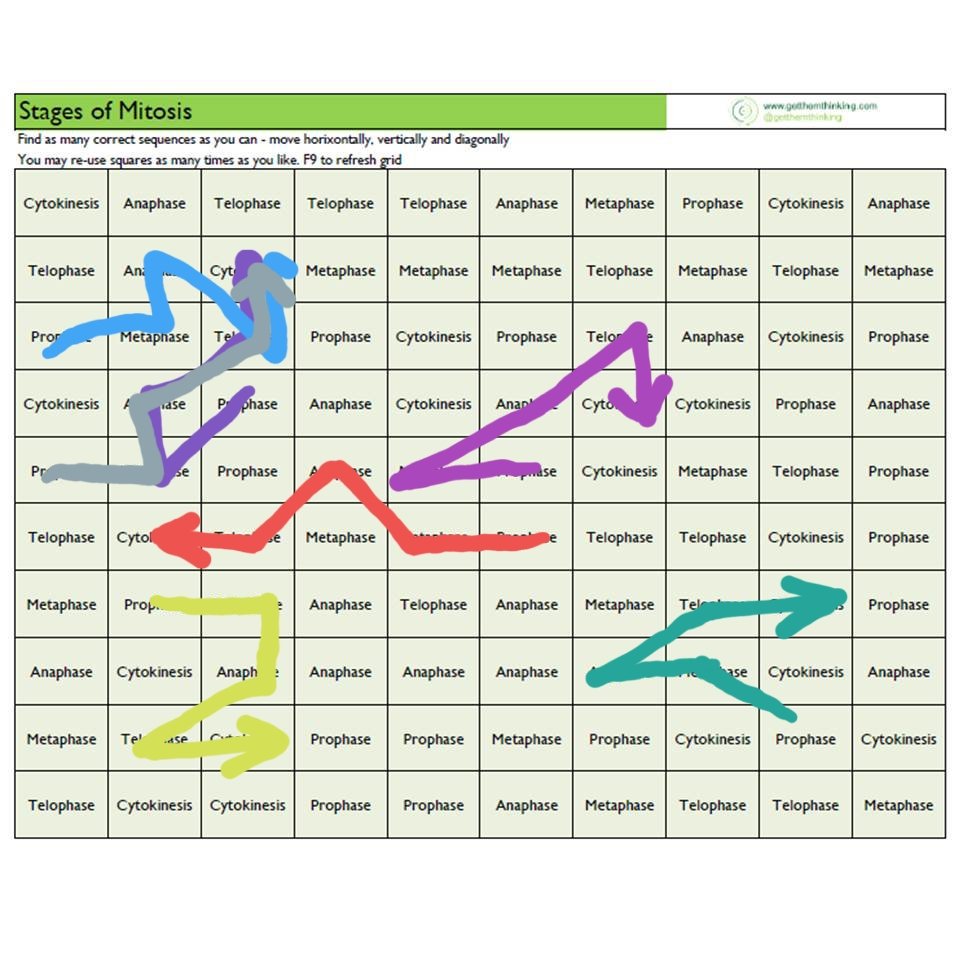 getthemthinking's tweet photo. I've been having a summer sort out of my website ready for the new term 🧹🧹🧹
Here's the all new #SequenceSearch game 🎉
A Mitosis example below. Full version randomises when you push F9! Download it or make your own here https://t.co/rCSSpMAY3u
#STEMeducation #edutwitter #nqt https://t.co/yBwEnAxR7l