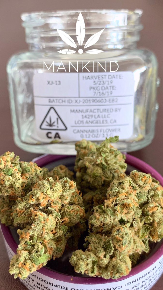 MankindCannabis's tweet image. THC Design is back! XJ-13 will help boost you through hump day. Be sure to ask your budtender to point you to the XJ-13!

#thcdesign #sandiegocannabis #bekind