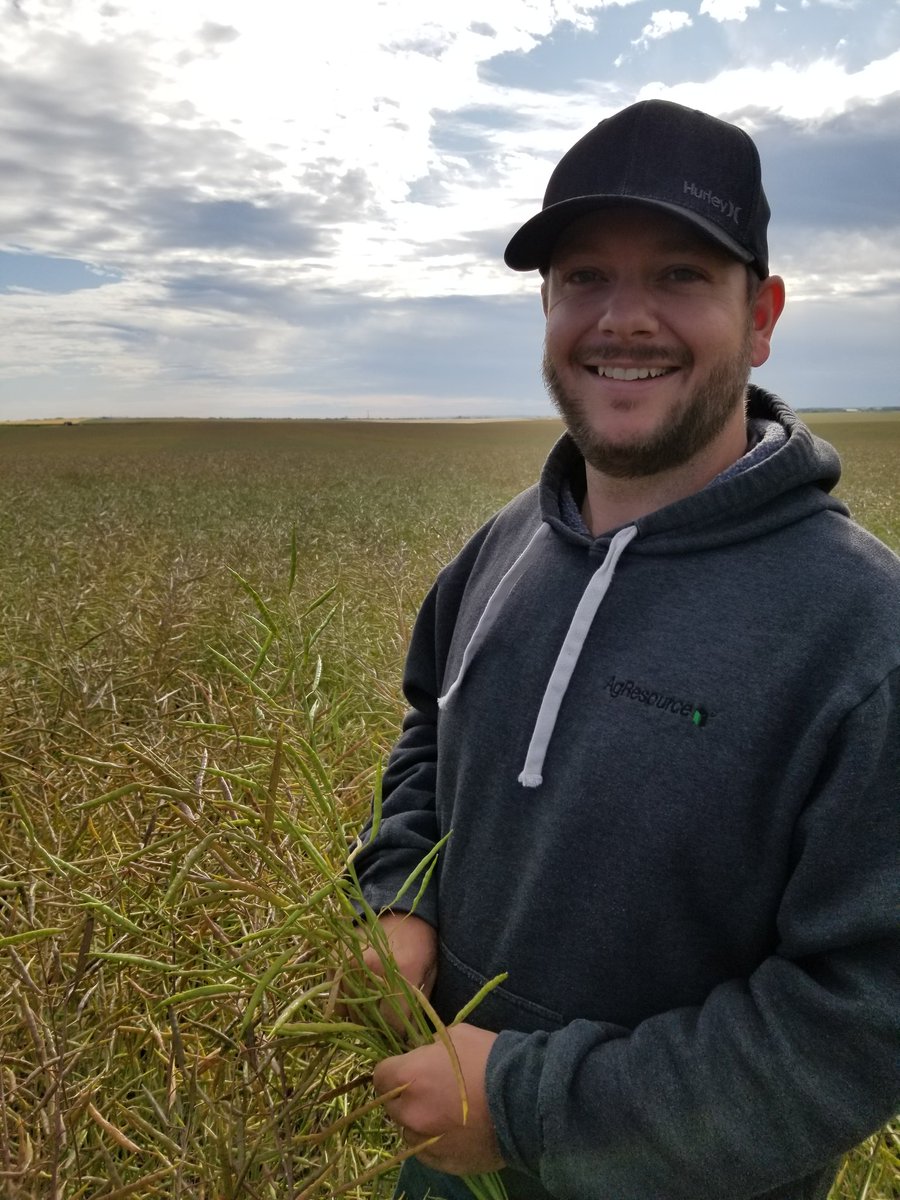 Page__Newton's tweet photo. #giantpods on this @canterraseeds #CS2500CL #canola - thx Matt Nyberg @SynergyAG for seeding #clearfieldtrial #westcdnag #bushelup https://t.co/LXshPxuV0m