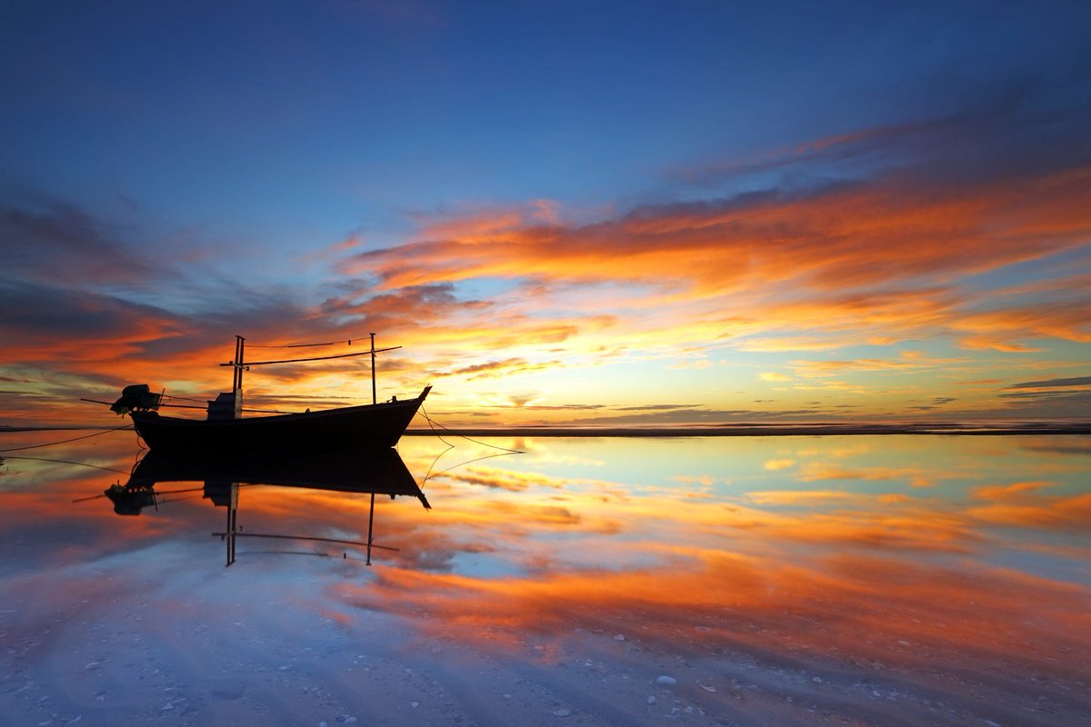 Your Holiday Booking tweet media