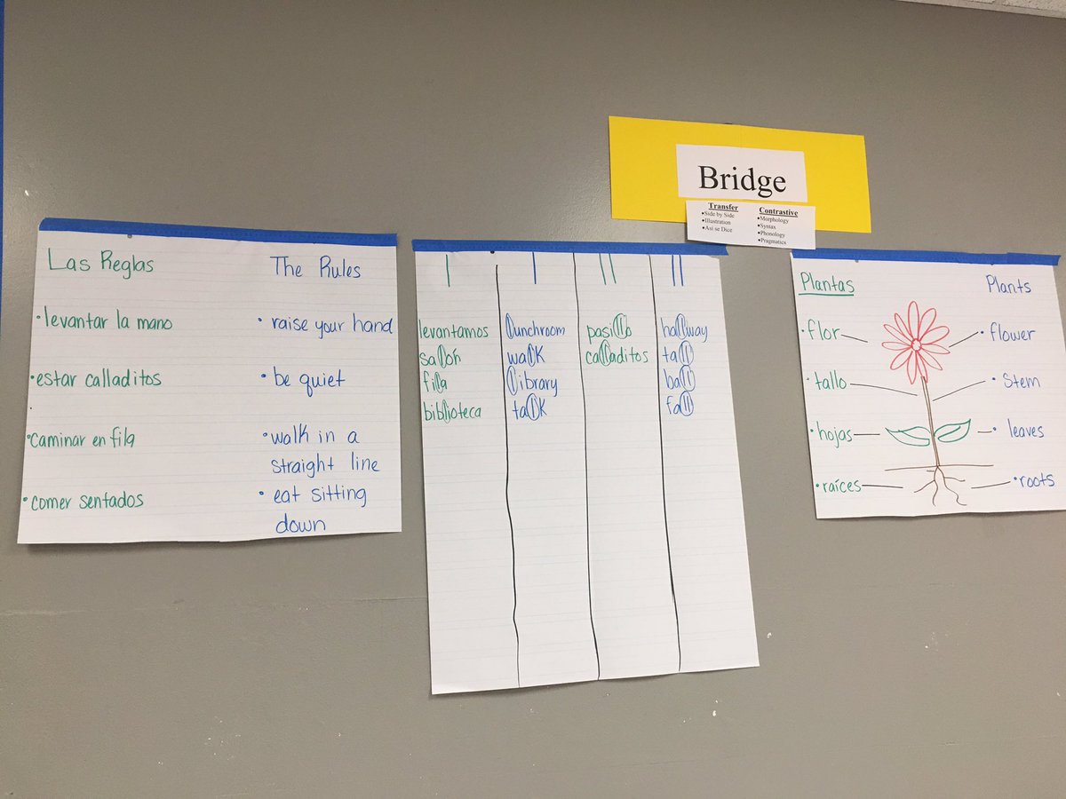 HazelCmtz's tweet photo. Las conexiones son esenciales en las clases de lenguaje dual. Here are some excellent examples of beginning of the year language connections @DeckerES ! #MultilingualManor @Bilingual_Manor They get an “A” for Amazing & Asombroso! https://t.co/ddYfrjfMuY