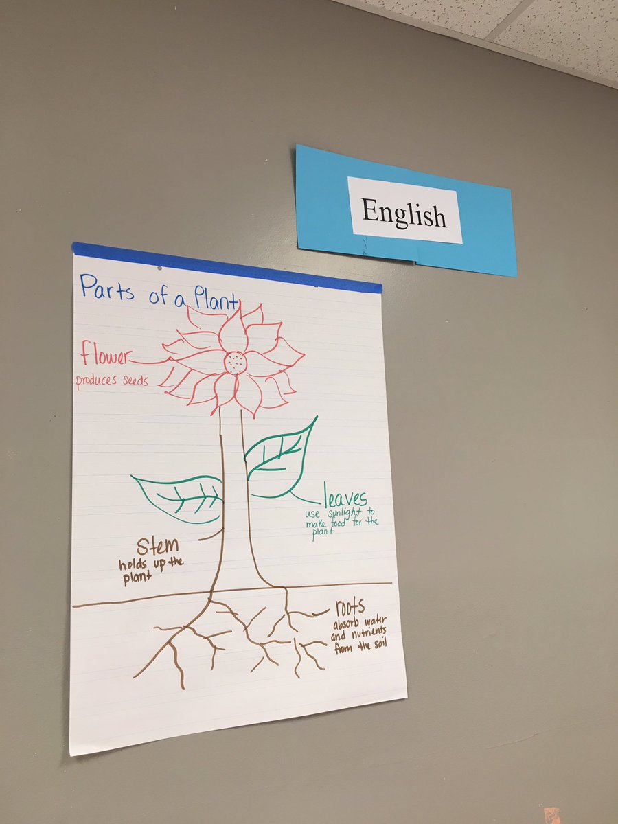 HazelCmtz's tweet photo. Las conexiones son esenciales en las clases de lenguaje dual. Here are some excellent examples of beginning of the year language connections @DeckerES ! #MultilingualManor @Bilingual_Manor They get an “A” for Amazing & Asombroso! https://t.co/ddYfrjfMuY