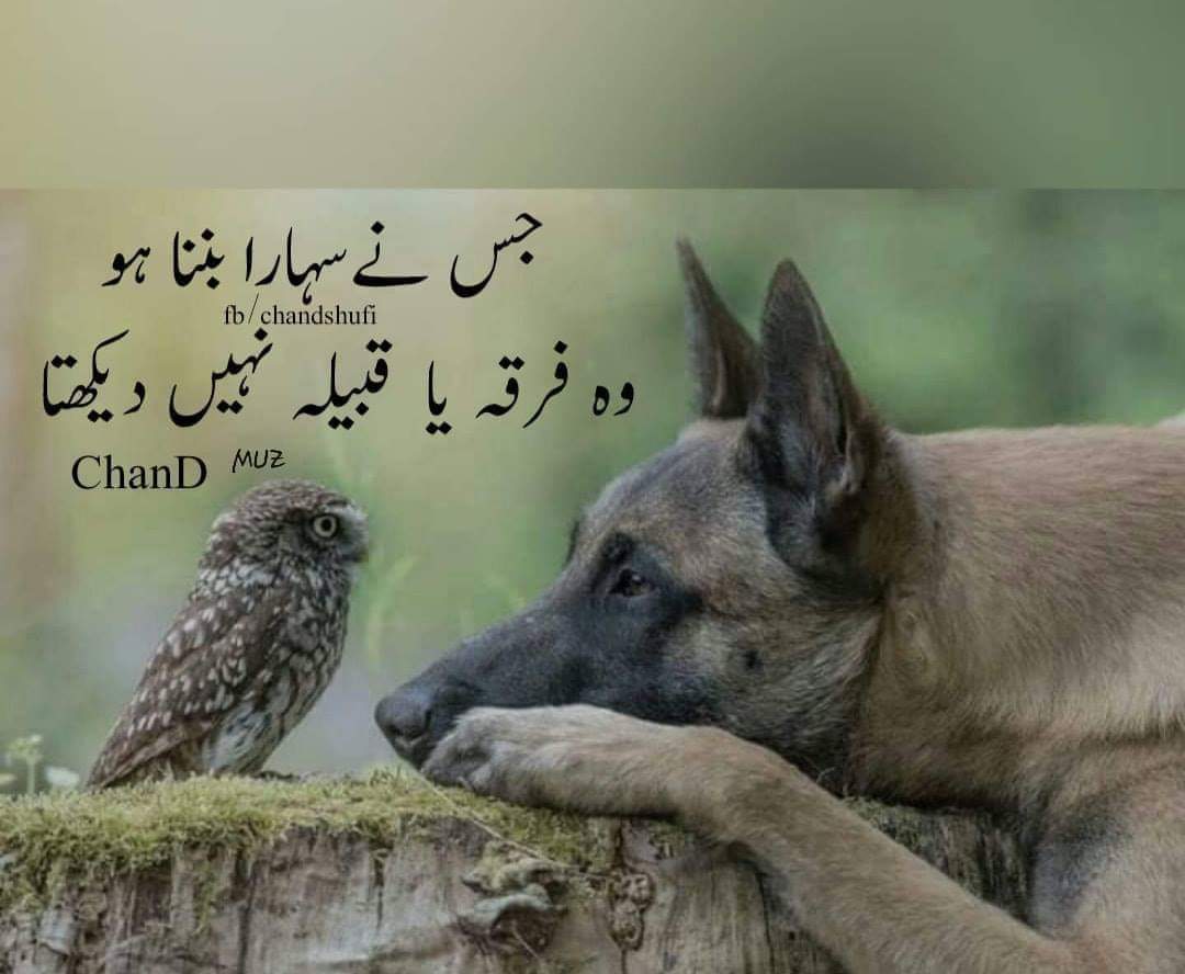 Rehan Khan on Twitter: Rehan Khan on Twitter: