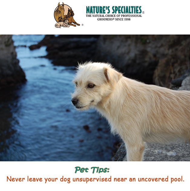 See our Products: naturesspecialtiesmfg.com 
#NaturesSpecialties #PetProducts #PetCare #Pets #PetSupplies #Groomers #PetFacts #FunFacts #PetTips