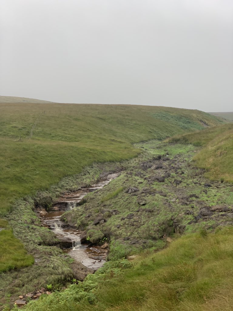 ElizaBart's tweet photo. Day 150!! I feel both emotional and proud of making it this far! A tough, wet, and scenic day to bring it up as I crossed over the Pennines! 
Just 4 more weeks to go!  #4000kmwalkforJDRF https://t.co/RGrqM7JMF1