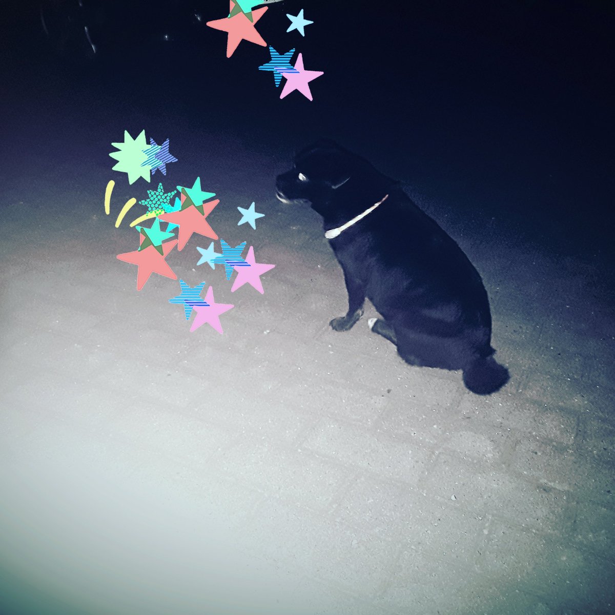 Spazieren gehen in der tropischen Nacht