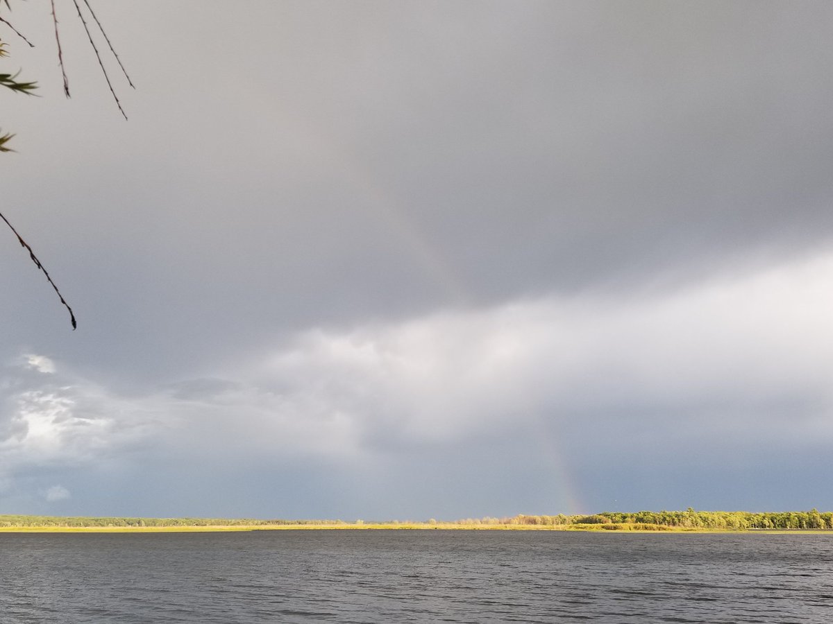 UPTreefarmer's tweet photo. Watching a passing thunderstorm while heating the sauna for our guests yesterday evening here at #DecompressU #Airbnb #Chassell #RusticCabinwithSauna #Keweenaw #upperpeninsula #PureMichigan https://t.co/cKMbiTRDKL https://t.co/QDE7WTeOUF