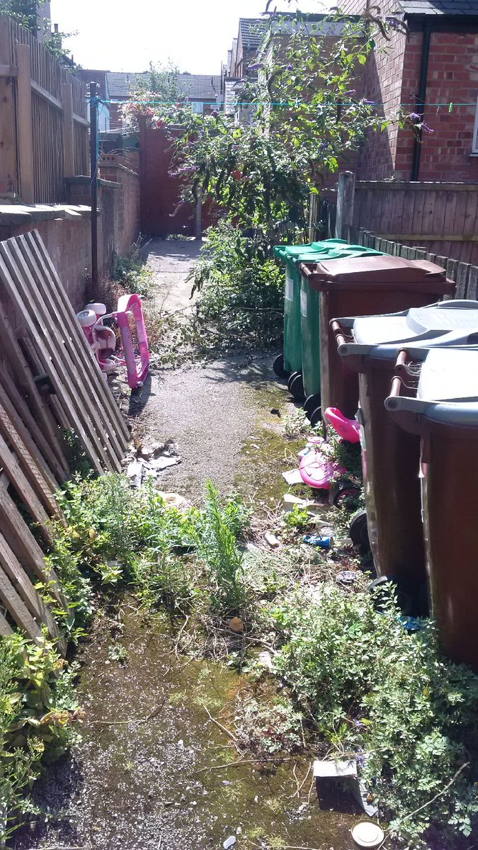 RadfordRoadCPOs's tweet photo. What a difference a #CPO makes!
After investigation by CPO 2675 notices were served to residents in the #Berridge area to clear this alleyway with great results. #KeepItClean #safer #NG7 https://t.co/UQk4D2PByf