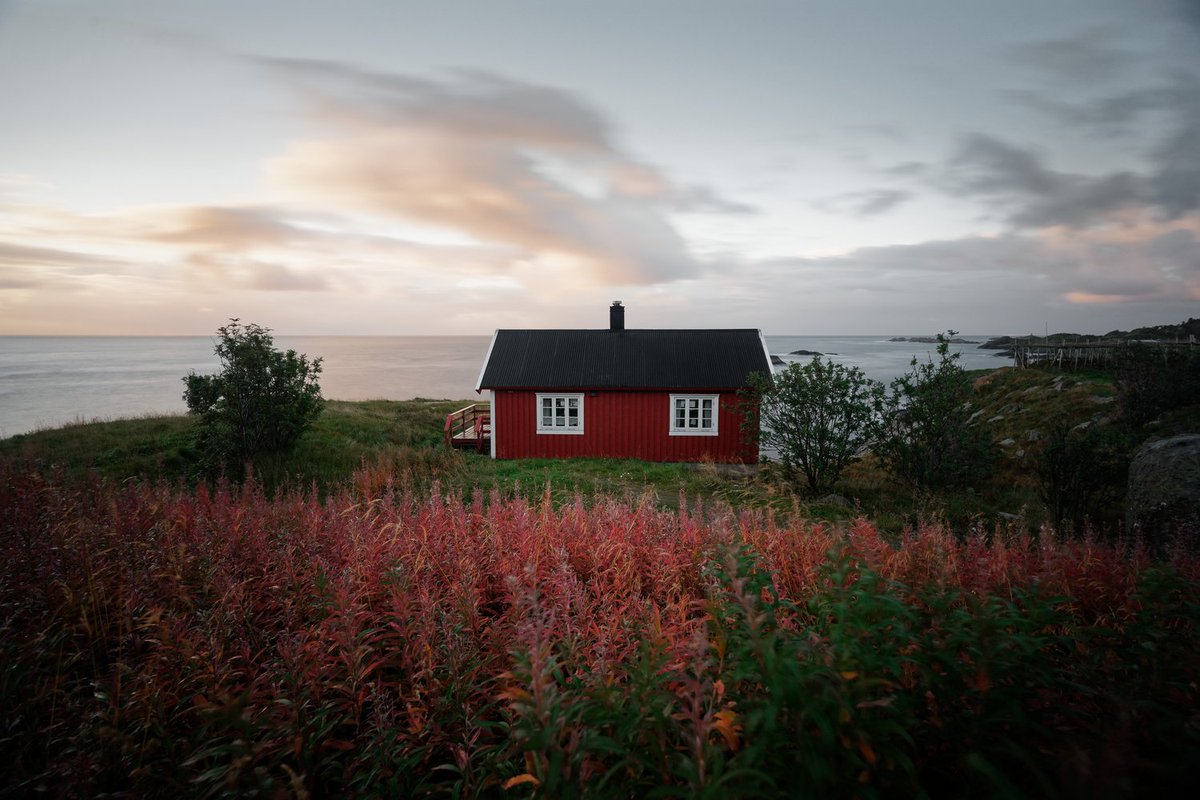 Nordic Wanders tweet media