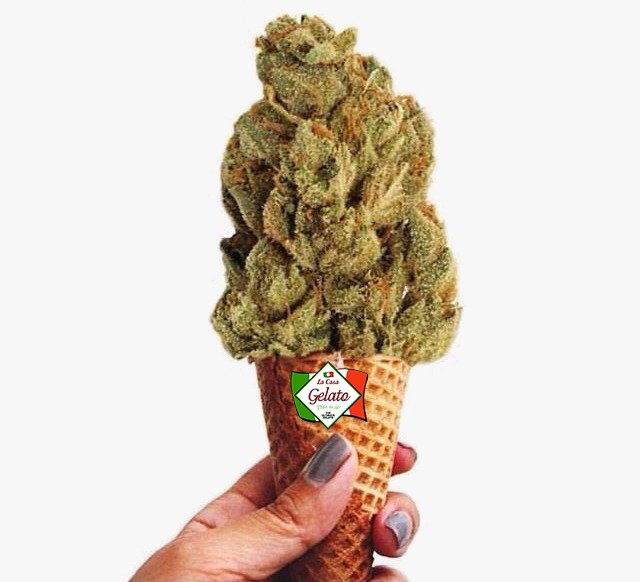 weedsupermarket's tweet photo. OH HELLO GELATO! 😍

All this hot weather has got us excited for one thing... Ice creeaaam! 

Feeling the heat too? We’ve got you covered - check out one of our newest strains added to the website 🍓 STRAWBERRY GELATO 🍓. It smells and tastes divine! 

Get it quick! https://t.co/z3xf1Vn1ak