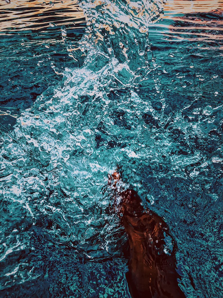 LadeIbikunle's tweet photo. @TECNOMobileNG Captured those little drops that make an ocean 🌊 
#UnlockCAMission https://t.co/hDjdBC2k5l