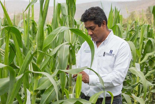 Enterrar el #fertilizante es vital para mejorar su aprovechamiento y elevar la productividad de un cultivo. Nuestros compañeros del <a href="/HubBajio/">Hub Bajío</a> hablarán de ello a productores en #Queretaro. ¡Asiste! Viernes 30 de agosto a las 11:00 h. ➡️Consulta el programa: bit.ly/2ZwFWIv