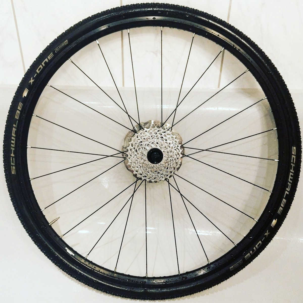 hamburgfiets's tweet photo. ✨ Vorbereitungen für den dritten #StevensSommercross & das #Crossfest am Samstag ✨
😎
#Tyr #querfeldein #cross #cycloross #Cyclocrossland #CyclocrossHamburg #Hamburg https://t.co/iP8mwdz8HT