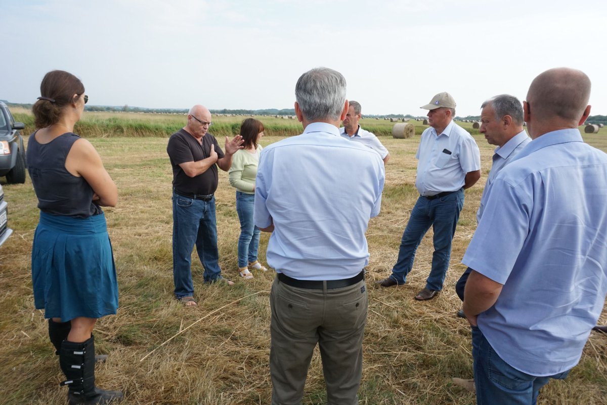 Greifswaldmirecentre Paludiculture Field Exchange At Best Practice Examples In Peatlands Of Northeastern Germany Succesful Peer To Peer Learning Of Stakeholders From Ukraine Germany And The Netherlands Facilitated By Bvvg And