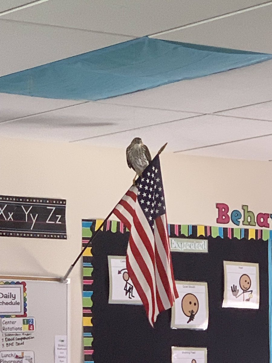 TBarquer's tweet photo. Look who flew in to class today! Go Rockets 🚀 #tusdconnect https://t.co/Lom7H4K4U3