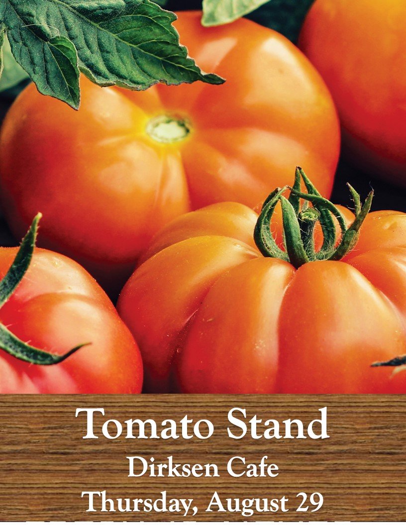 It's almost the end of #Tomato season, come stop by tomorrow, #RADirksenCafe, samples &amp; whole tomatoes for sale