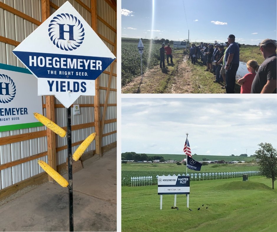TheRightSeed's tweet photo. Now is the time to learn about & see local #corn & #soybean products that thrive in the western corn belt. Put #therightseed to work on your acres. #MasterPlots #FieldDays https://t.co/XeuHTSxSn3