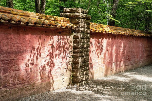 photoartbyanita's tweet photo. Bring the beauty of the Abby Aldrich Rockefeller Garden into your home or office, with framed, canvas, or metal prints, or pillows, tote bags, pouches, and much more. https://t.co/27jxUgHUe0 #SealHarbor #Maine #walledGarden #walledGarden #wallshadows #homedecor #officedecor https://t.co/okwExnQUgE