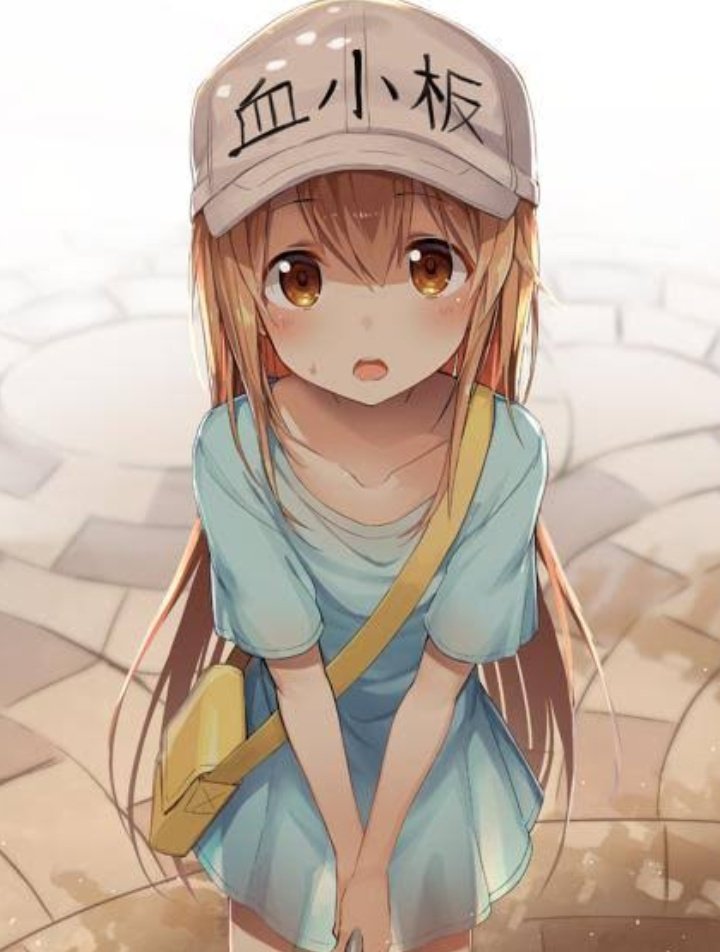 絶対似ているアニメキャラ Twitter Search Twitter 絶対似ているアニメキャラ Twitter Search Twitter