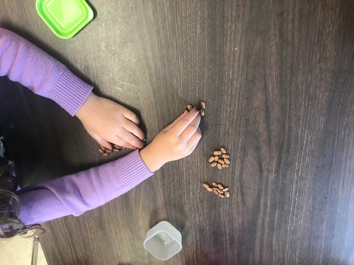 murphylps's tweet photo. Day 2: Counting beans with a partner (without any instruction!) was a great way to kick off the year with some peer math discussion! @buildmathminds #buildmathminds19 #firstgrade https://t.co/Hxeumhujq7