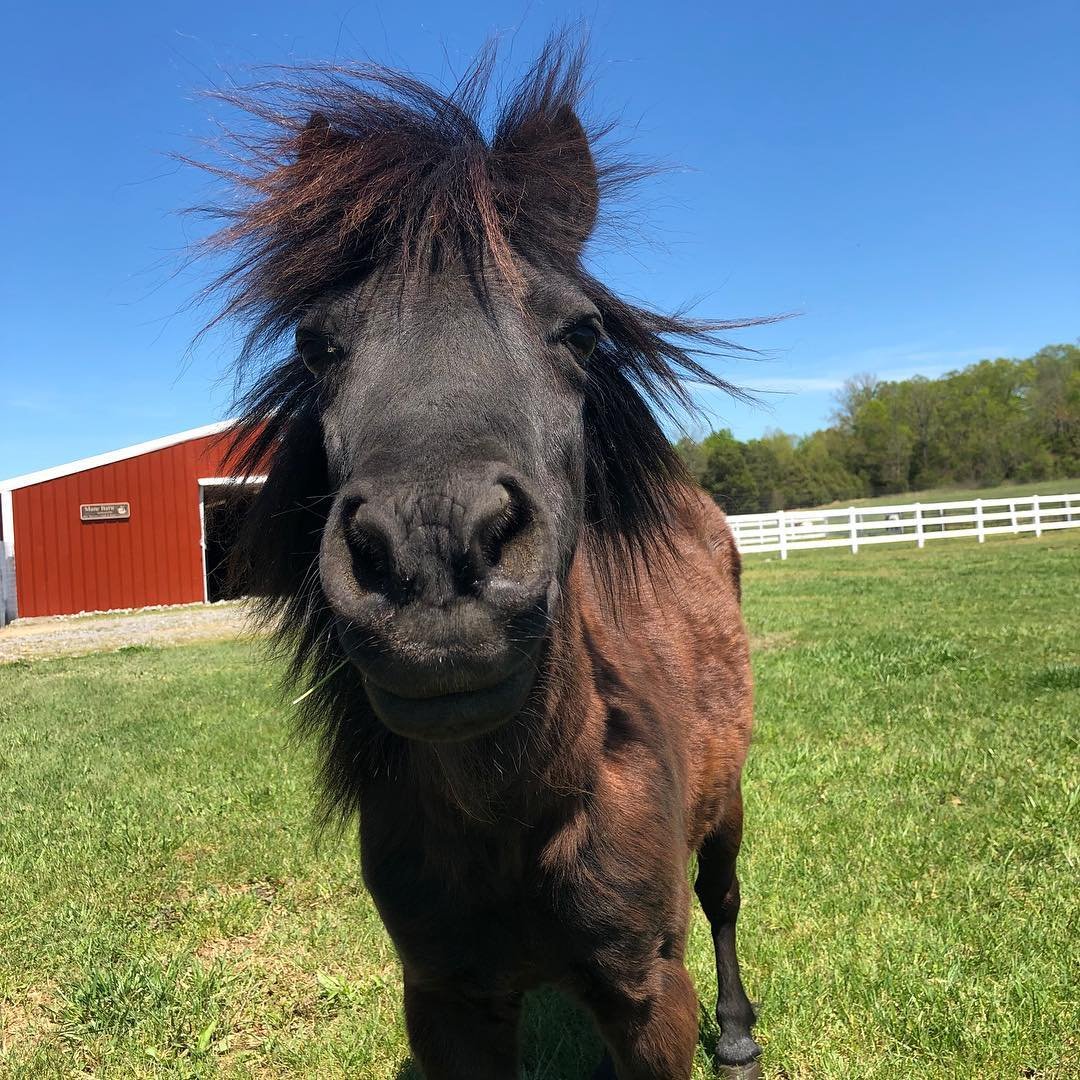 Graziana Graziana47 Twitter