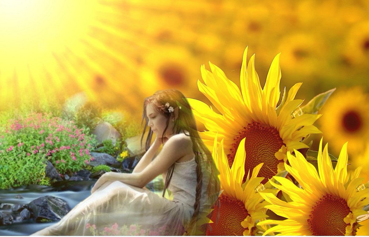 太陽を見つめて
　咲く花
　　　ヒマワリ

　水の精
　　クリュティエは

　太陽の神
　　アポロに
　　　恋をしました

水の精は
　太陽の下で
　　咲く

　ヒマワリとなり
　　寄り添っいながら

　恋の花となり
　　永遠に咲いています…

　　　～恋の花～