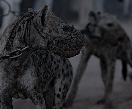 Archillect (@archillect) on Twitter photo 