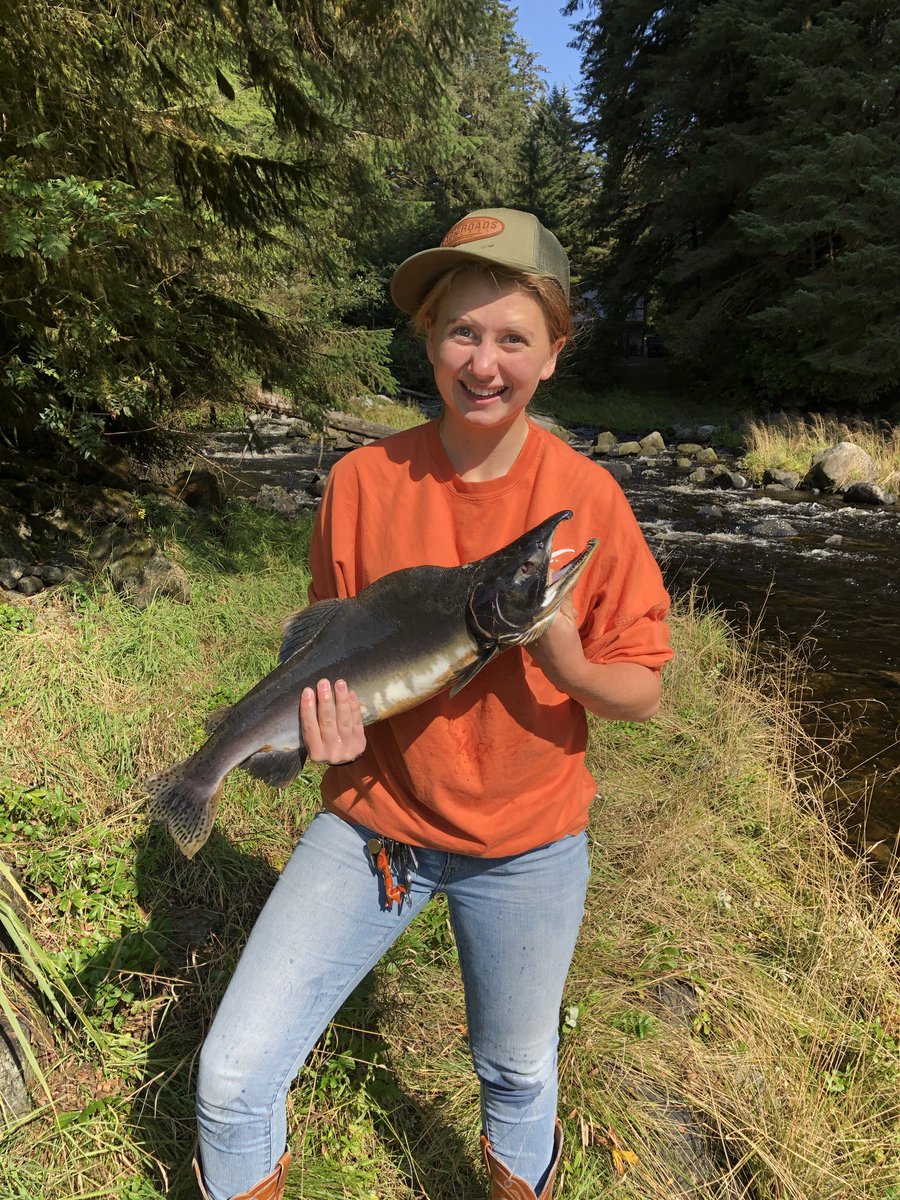 eyes_of_nature's tweet photo. Grabbed this Pink with my bare hands. 💪🏻
Its hat week at @backroadapparel! Get 15% off hats with promo code DUCK15 at checkout!
#truealaskan #backroadsrep #BRAfaithful #backroadsapparel #pinksalmon #salmon #alaskasalmon #humpbacksalmon https://t.co/vS2zV7bWfz