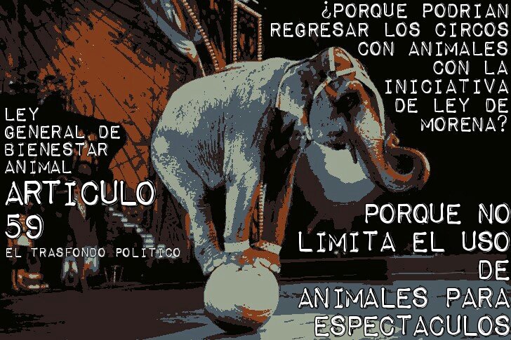 CultuAntiTauri's tweet photo. @PartidoMorenaMx #MORENA @Partido_Morena #Especista  @MorenaExterior_ #Sadicos @DiputadosMorena #Taurinos  @FuerzaMorenaMX #Galleros  #MORENAEspecista #DisneyPlus   #AMLO #OGCNOM #Circo  #ÜcretliYerine60BinAta https://t.co/RcfFGuKaMn